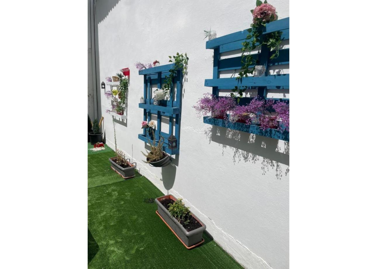 ז'אקה Hotel Acebo Plaza Mayor מראה חיצוני תמונה